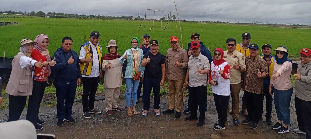 Kunjungan Kerja Bapak Gubernur Kalimantan Tengah meninjau infrastruktur irigasi Food Estate