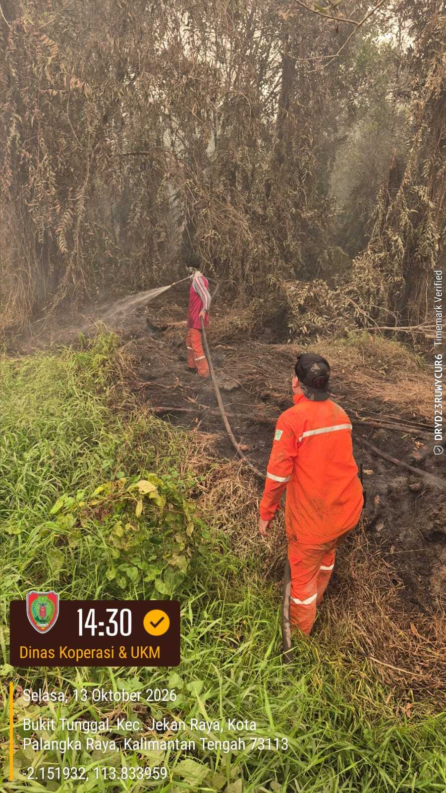 Regu 17 Dinas Koperasi dan UKM Kalteng Lakukan Pemadaman dan Pendinginan Karhutla di Dua Lokasi di Palangka Raya