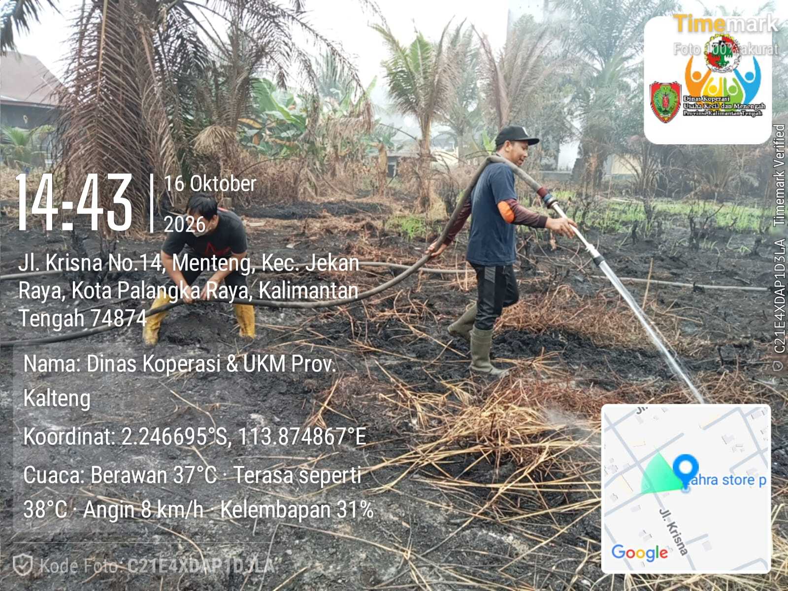 Regu 17 Dinas Koperasi dan UKM Kalteng Lakukan Pemadaman Karhutla di Jalan Krisna G. Obos
