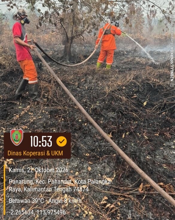 Diskop UKM Kalteng Bersama Tim Gabungan Lanjutkan Pengendalian Karhutla di Panarung