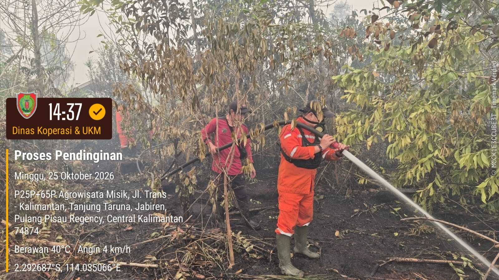 Relawan ASN Diskop UKM Kalteng Lanjutkan Penanganan Karhutla di Dua Lokasi Palangka Raya