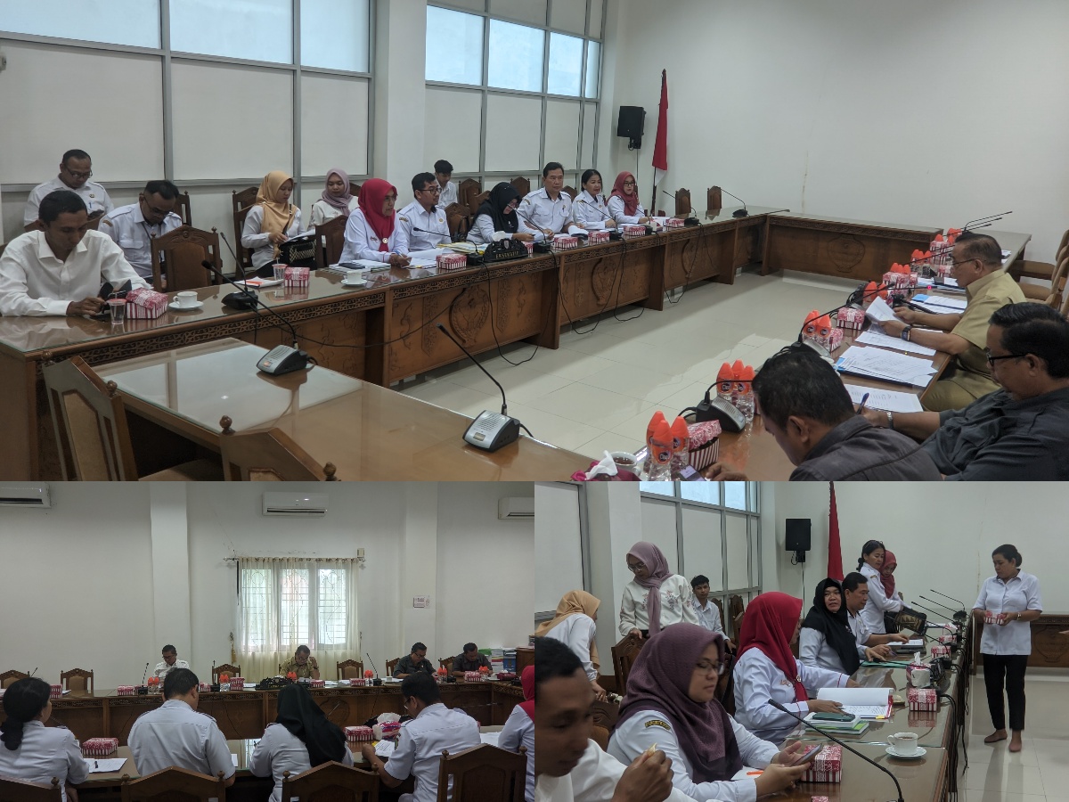 Rapat Dengar Pendapat (RDP) bersama Dewan Perwakilan Rakyat Daerah (DPRD) Provinsi Kalimantan Tengah